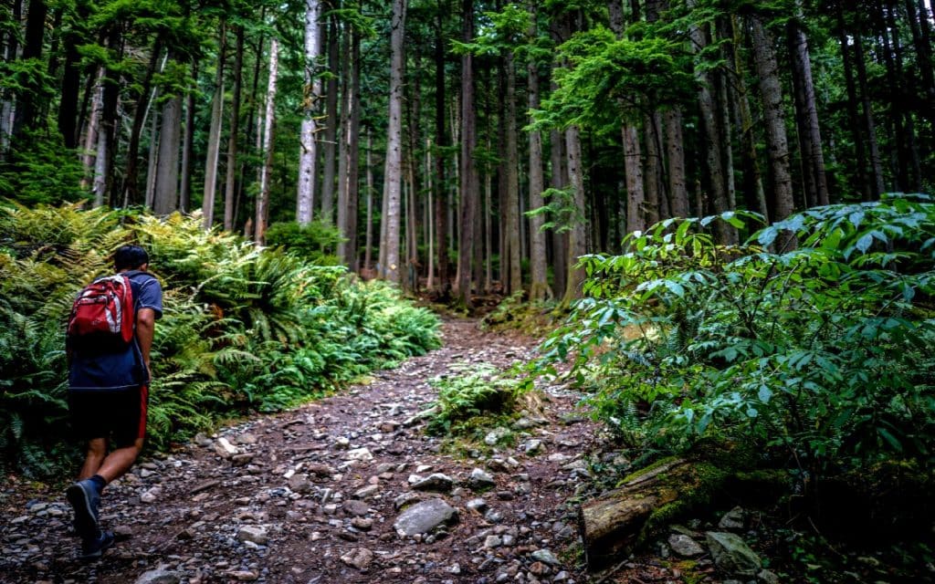 a hiker does the grouse grind in north vancouver canada