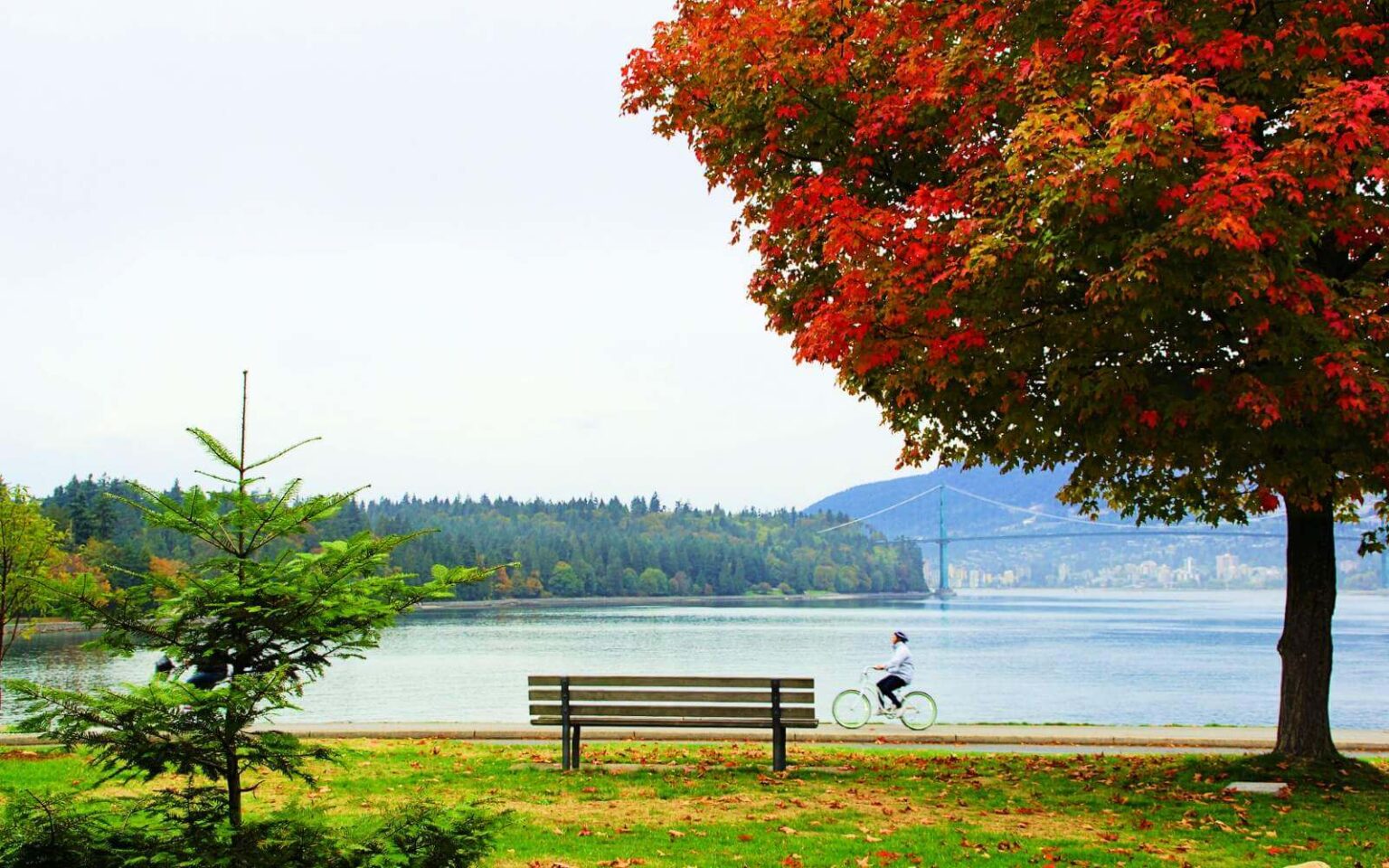 Visiting Vancouver in October Events, Festivals & Best Things to Do