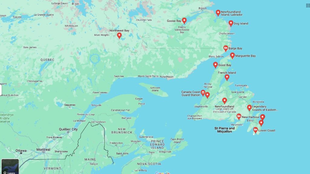 newfoundland coast map with whale watching spots