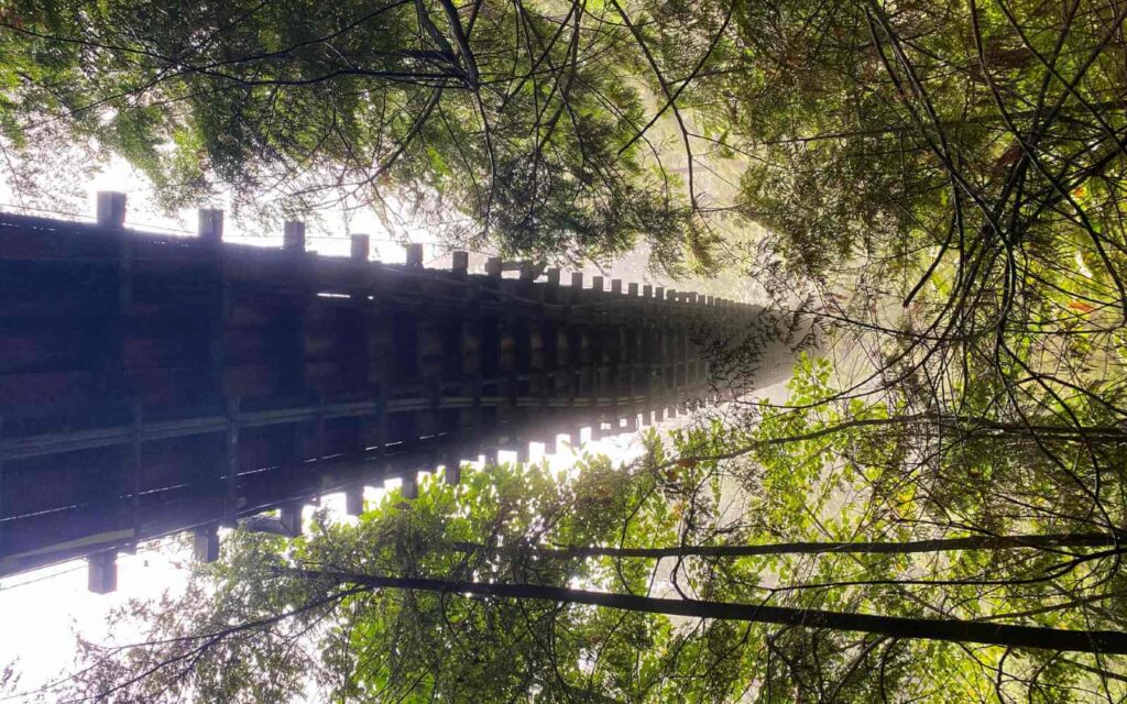 underside of the capilano suspension bridge in the rain