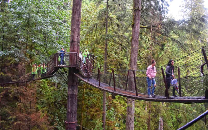 tourists walking on the treetops adventure at capilano suspension bridge