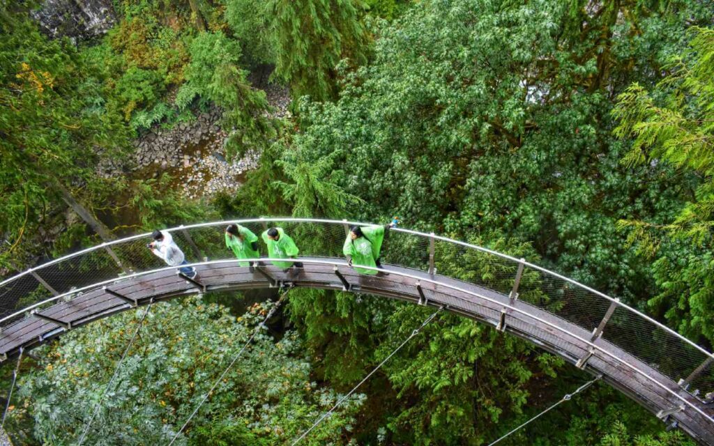 tourists walking on the cliffwalk at capilano suspension bridge in vancouver