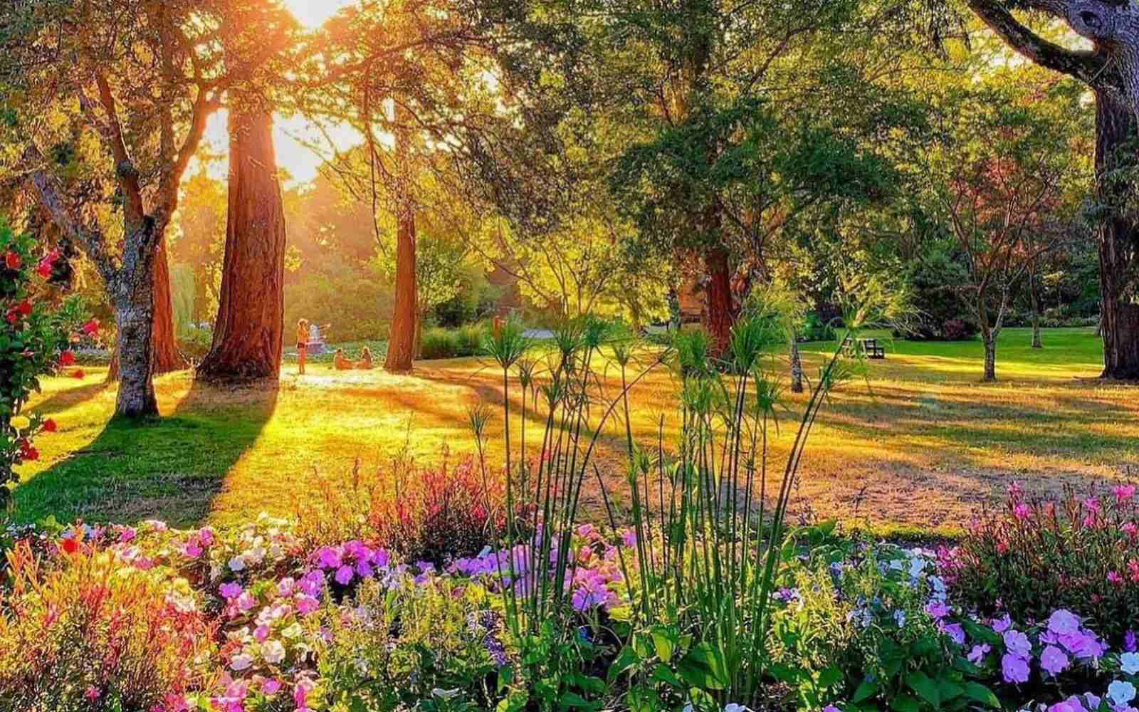 sunset in summer illuminating flowers at beacon hill park in victoria on how to get to victoria bc from seattle