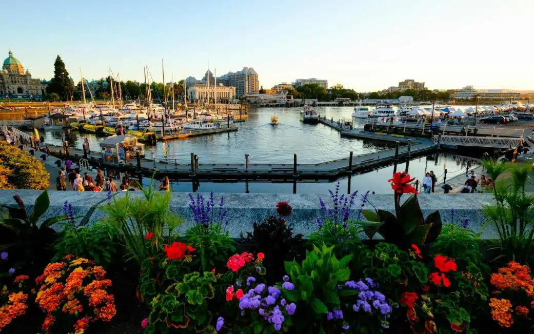 victoria inner harbour with boats tied up at sunset