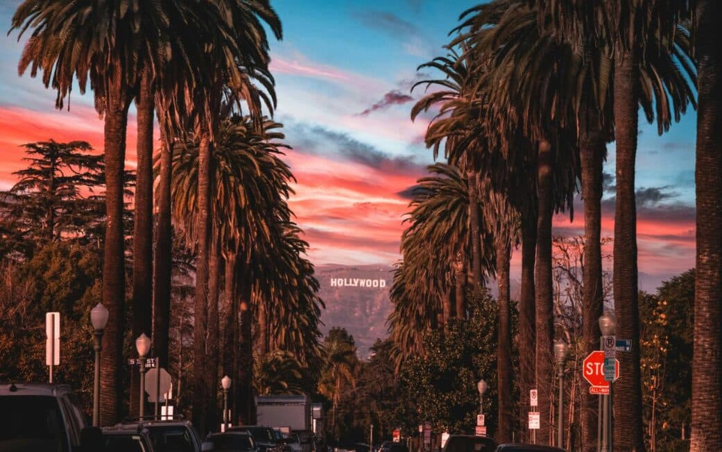 A line of palm trees in the foreground of the Hollywood sign on a Vancouver road trip to LA.