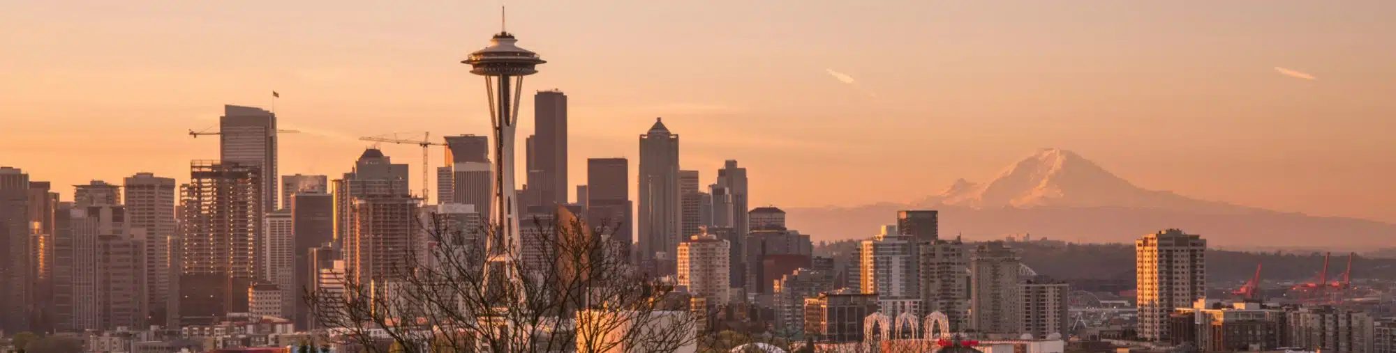 The Seattle skyline.