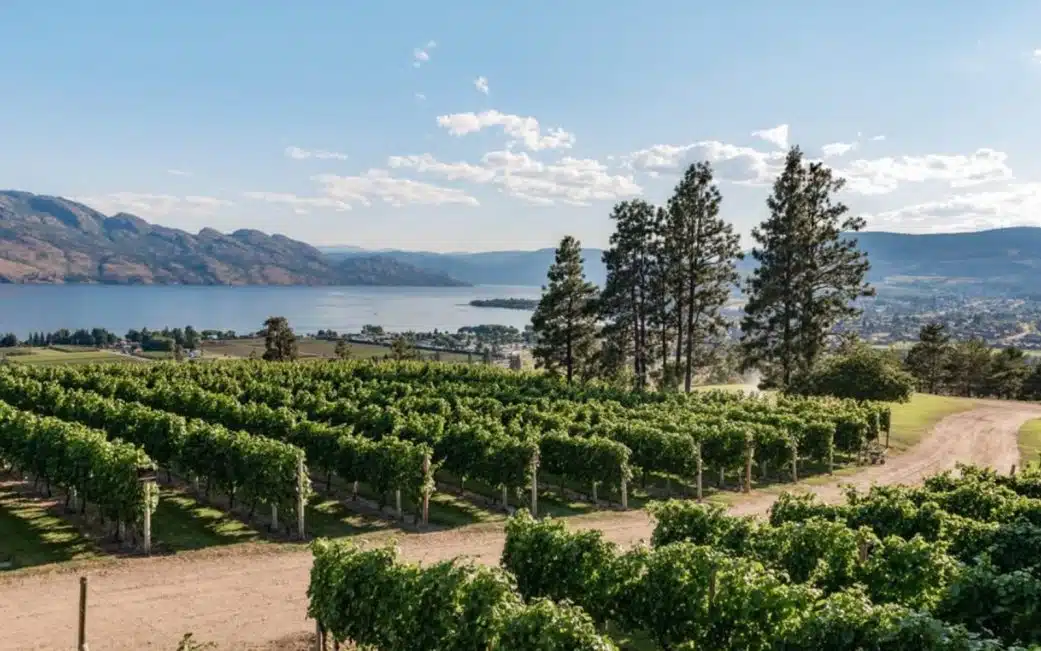 A snapshot of Mission Hill Winery overlooking the lake on a Vancouver road trip to Kelowna.