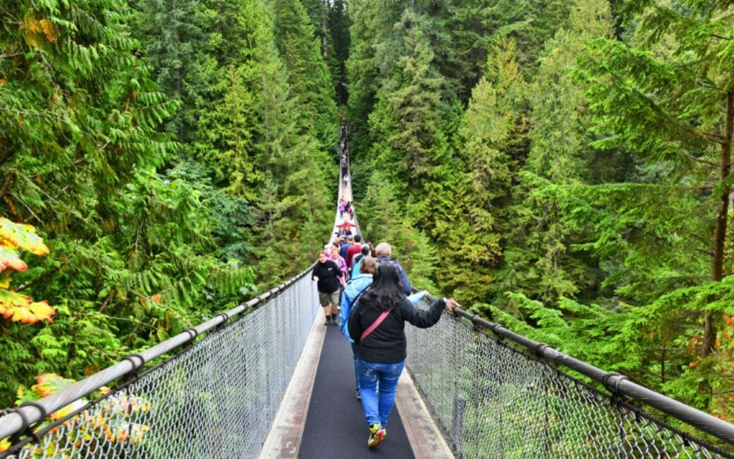 A woman admires the Capilano River after taking the Capilano Suspension Bridge free shuttle.