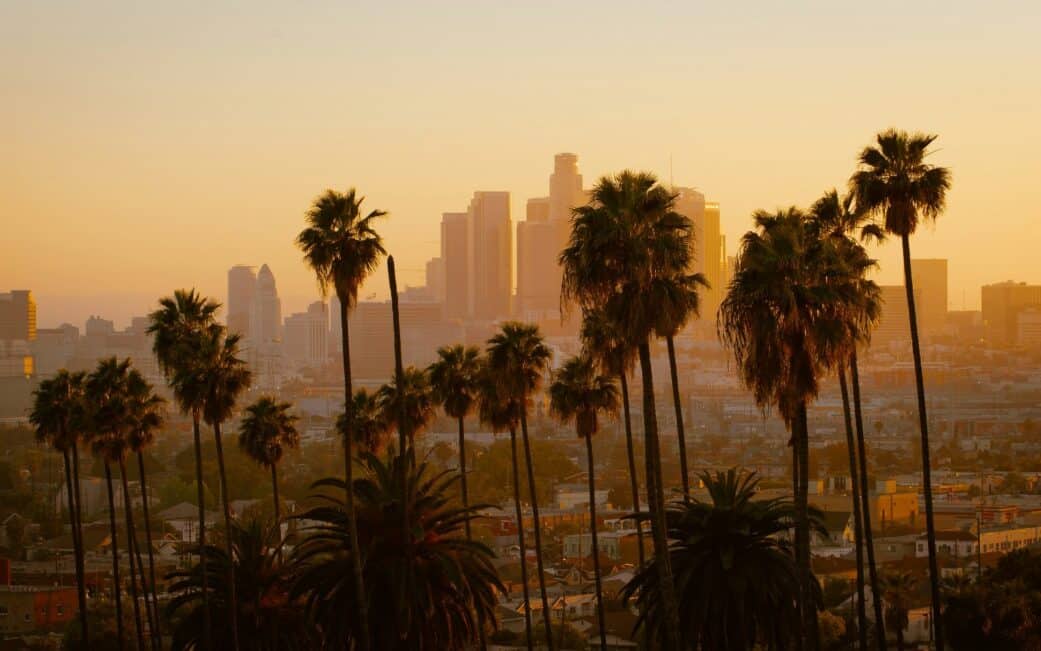 A pic of Downtown Los Angeles with palm trees in the foreground.