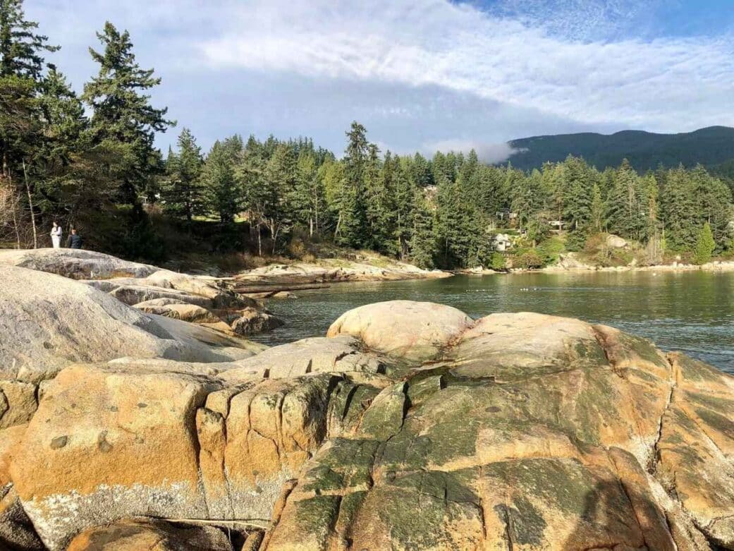 bright and clear day at caulfeld park with the sun hitting the rocks and trees