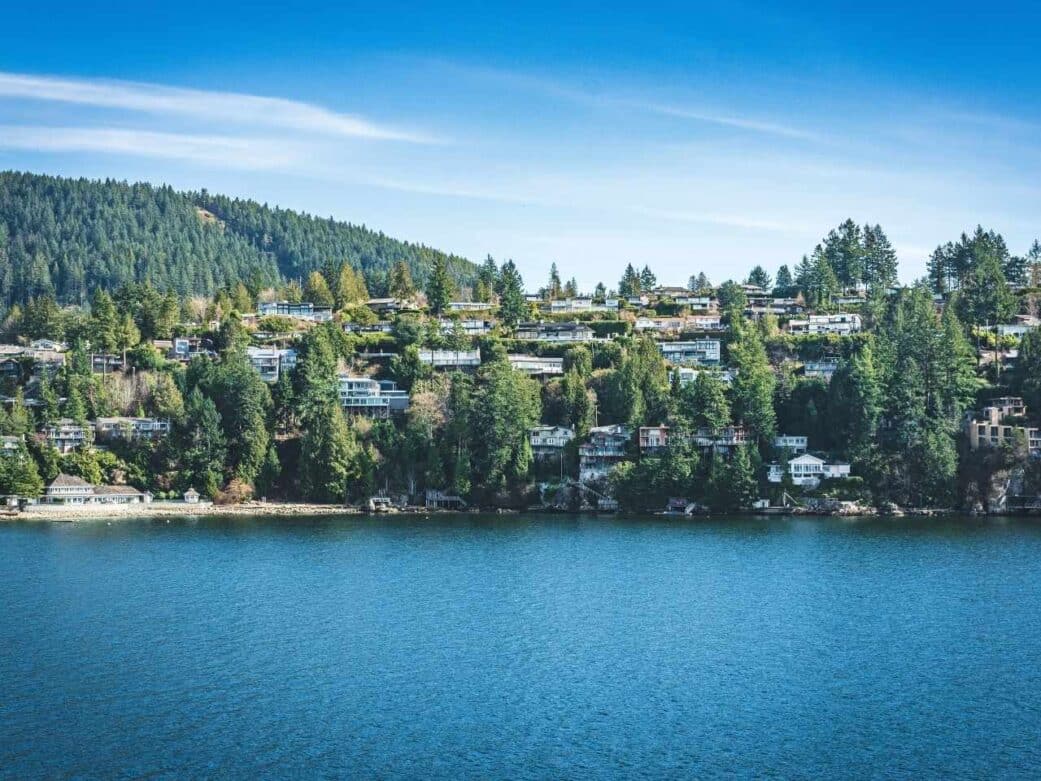 buildings and houses covered by tall luscious green tees while overlooking the crystal clear water